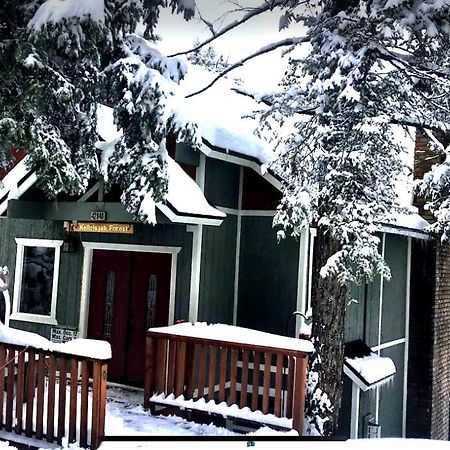Hallelujah Forest Villa Big Bear Lake Eksteriør bilde